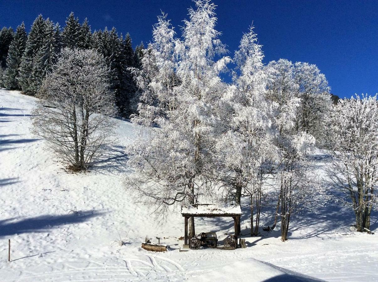 Le Refuge Villa Cordon Kültér fotó